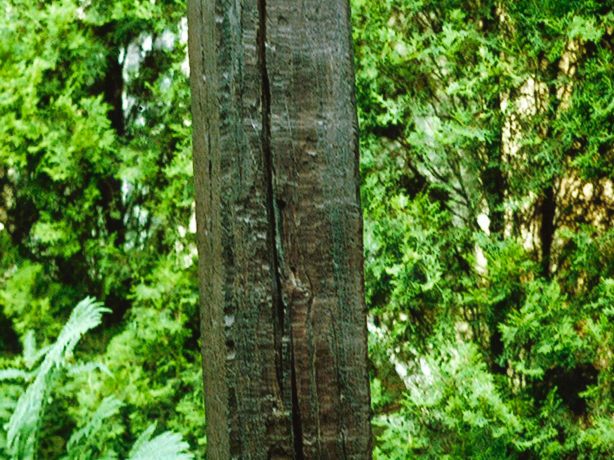 TOTEM DEL PENSIERO N. 1 1981, legno antico con inserti smaltati, cm. 180x40x30